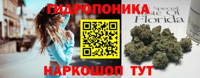 прущий лед Гусь-Хрустальный