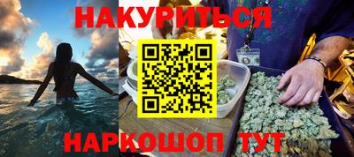 индика Гусев