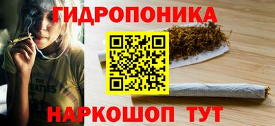 индика Гусев