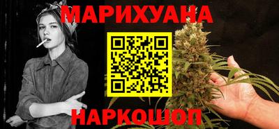 индика Гусев