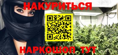 индика Гусев