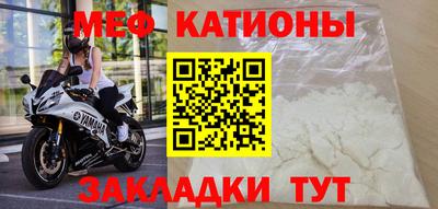 индика Гусев