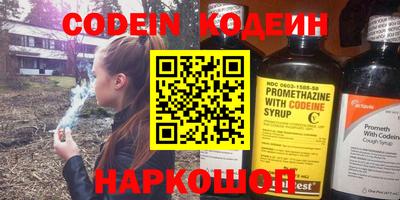 индика Гусев